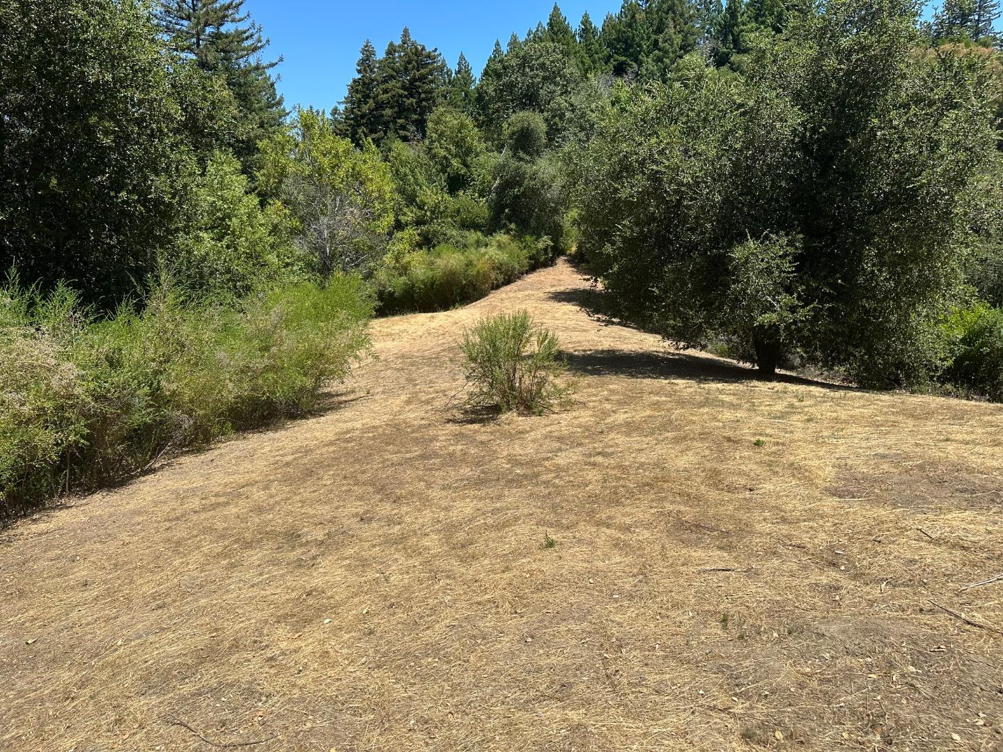 Detail Gallery Image 7 of 9 For 0000 Main Blvd, Los Gatos,  CA 95033 - – Beds | – Baths