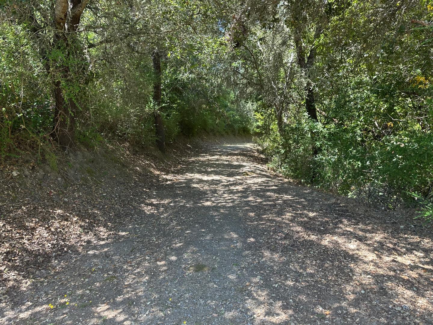 Detail Gallery Image 8 of 9 For 0000 Main Blvd, Los Gatos,  CA 95033 - – Beds | – Baths