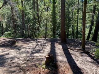 Detail Gallery Image 8 of 21 For 17000 Bear Creek Rd, Boulder Creek,  CA 95006 - – Beds | – Baths