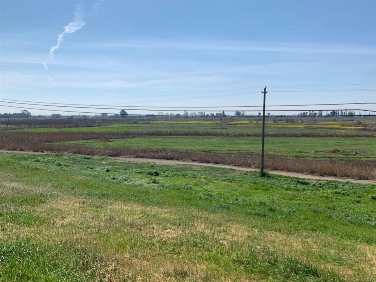 Detail Gallery Image 4 of 4 For 525-575 Brannan Island Rd, Isleton,  CA 95641 - – Beds | – Baths