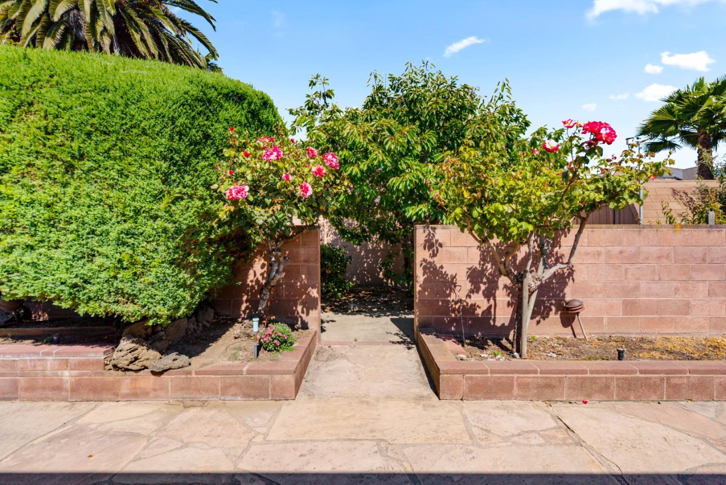 Detail Gallery Image 45 of 57 For 1781 Prune St, Hollister,  CA 95023 - 2 Beds | 2 Baths
