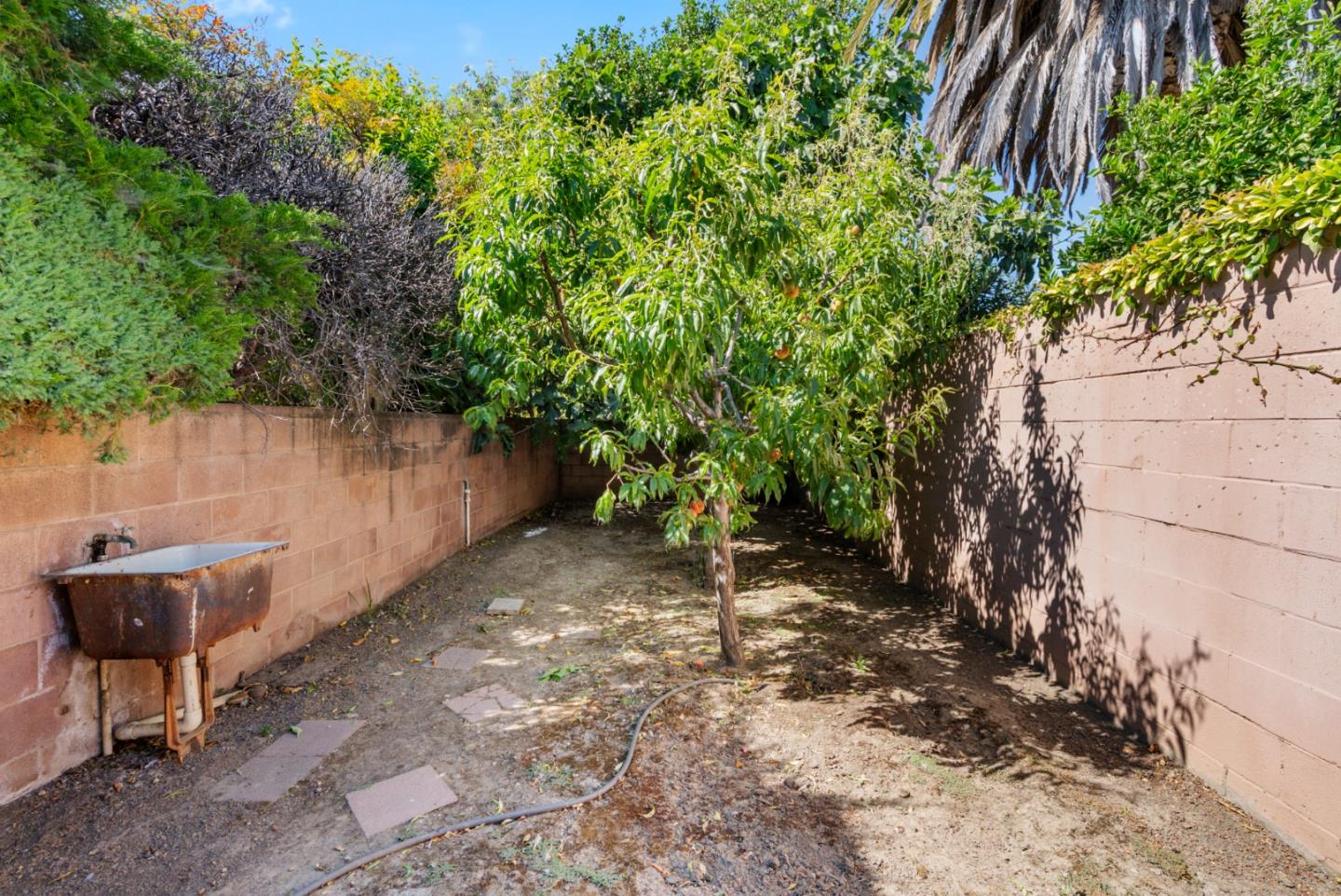 Detail Gallery Image 49 of 57 For 1781 Prune St, Hollister,  CA 95023 - 2 Beds | 2 Baths