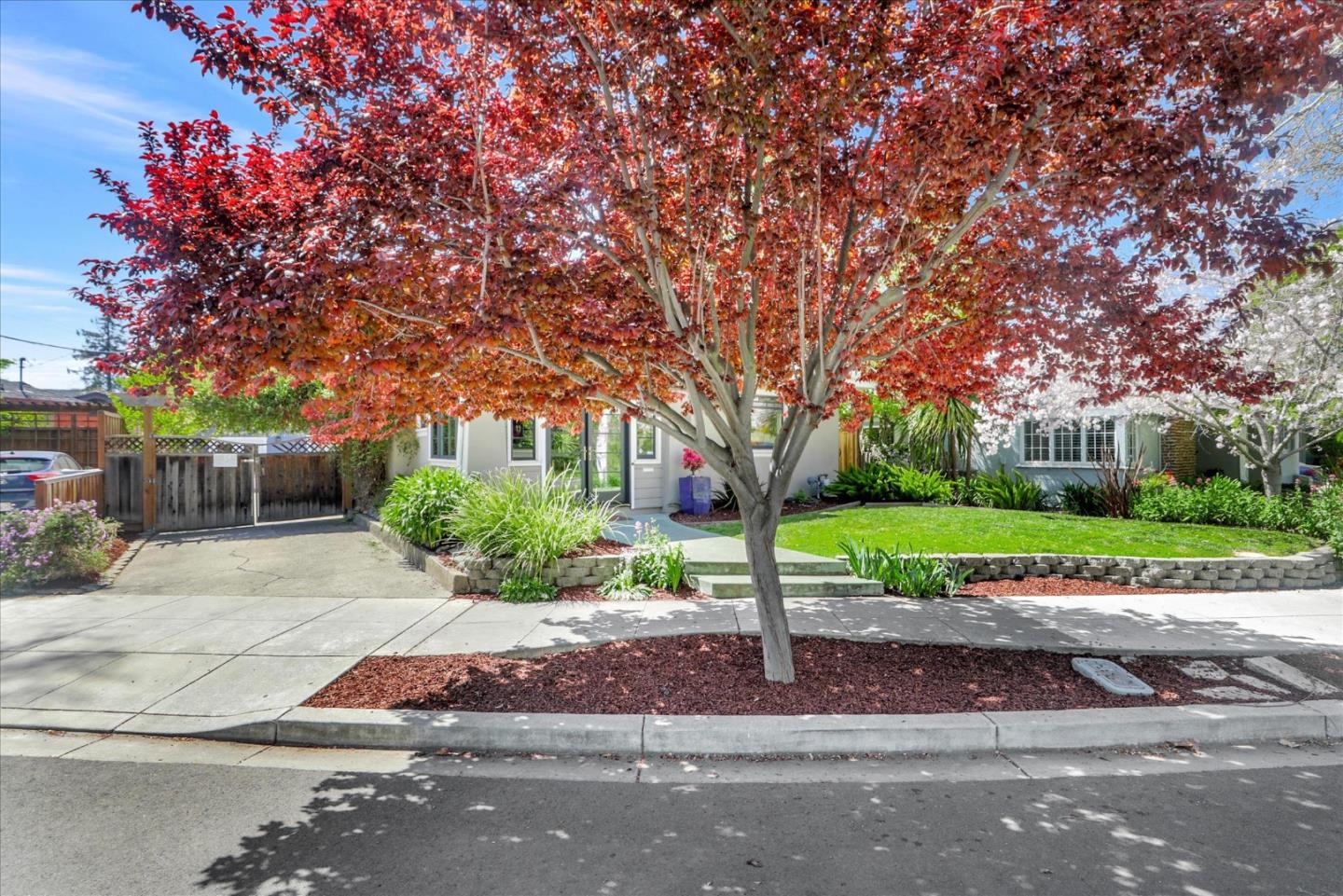 Detail Gallery Image 3 of 80 For 355 S 17th St, San Jose,  CA 95112 - 4 Beds | 3 Baths
