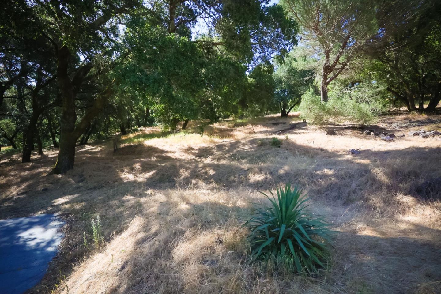 Detail Gallery Image 29 of 40 For 1296 Conference Dr, Scotts Valley,  CA 95066 - 3 Beds | 2 Baths