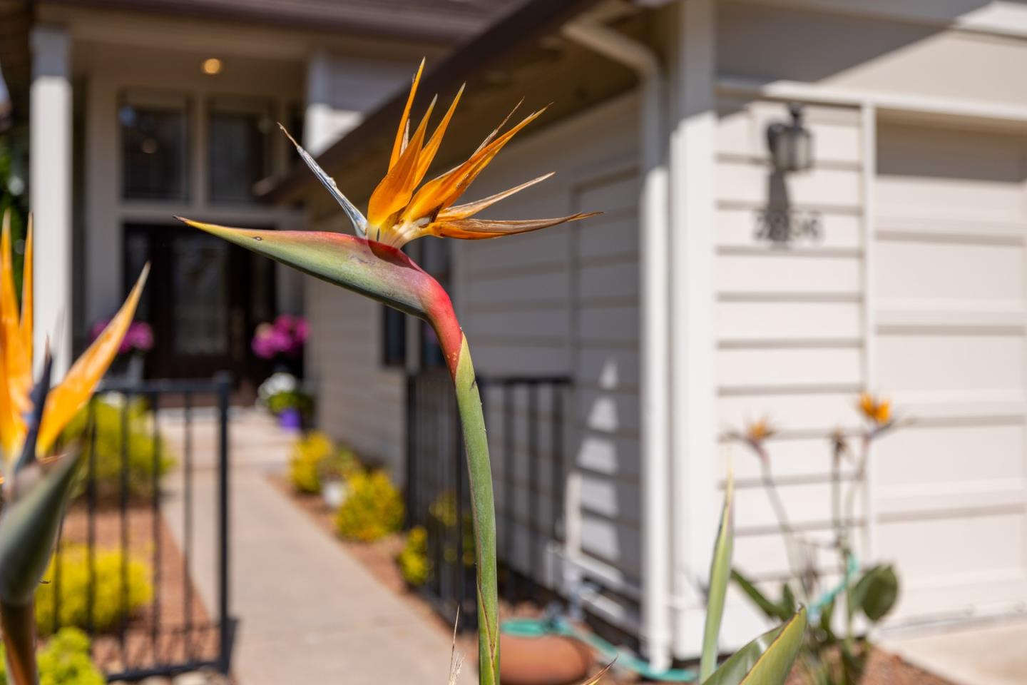 Detail Gallery Image 28 of 28 For 2896 Ransford Ave, Pacific Grove,  CA 93950 - 3 Beds | 3 Baths