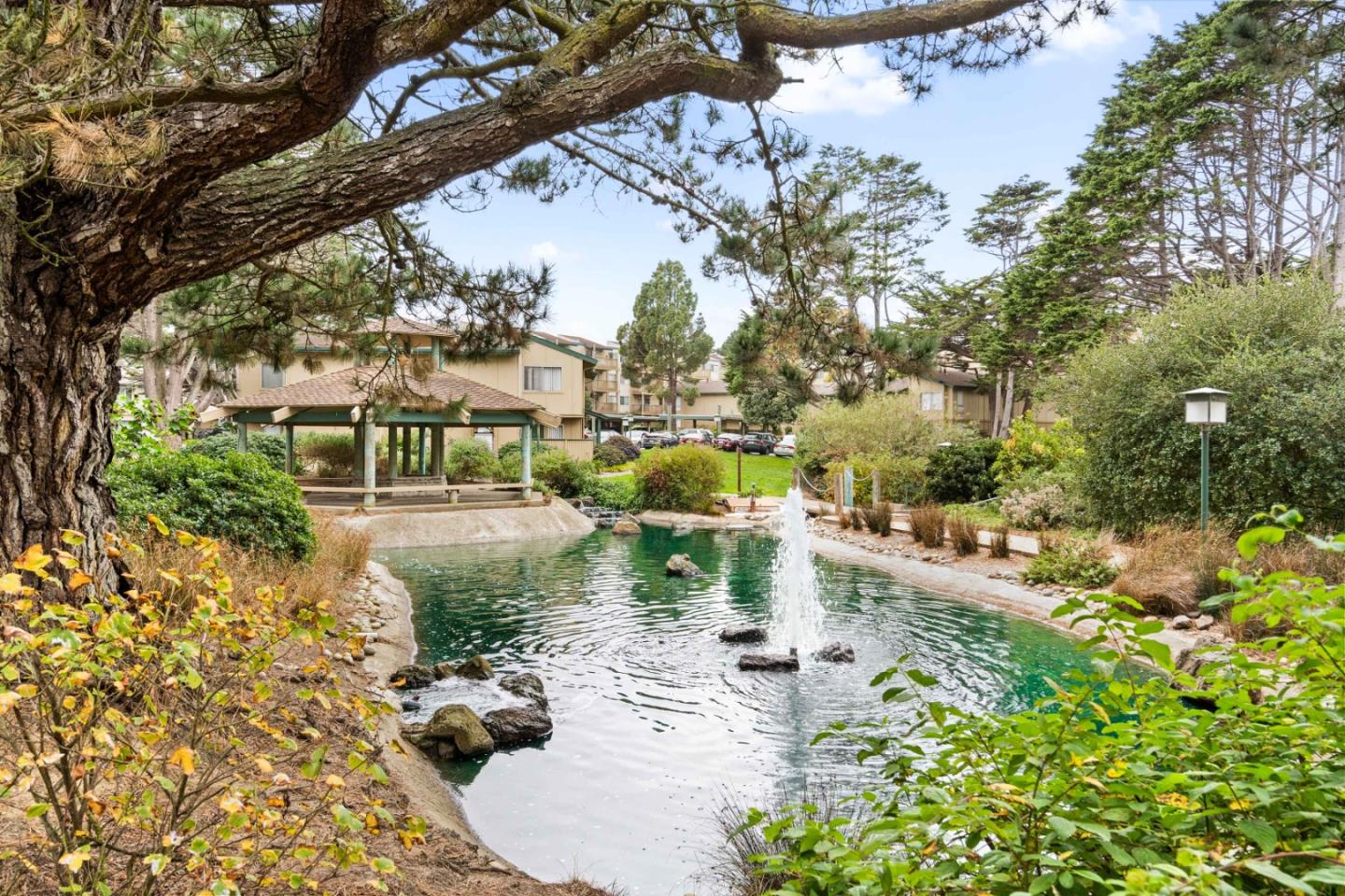Detail Gallery Image 63 of 69 For 381 Half Moon Ln #213,  Daly City,  CA 94015 - 1 Beds | 1 Baths