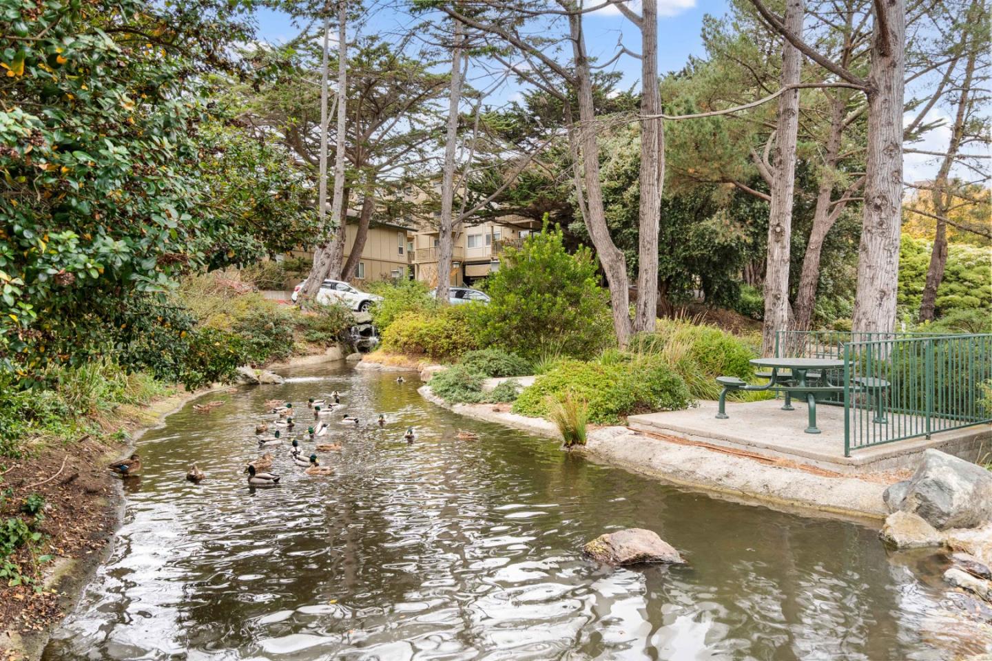 Detail Gallery Image 65 of 69 For 381 Half Moon Ln #213,  Daly City,  CA 94015 - 1 Beds | 1 Baths