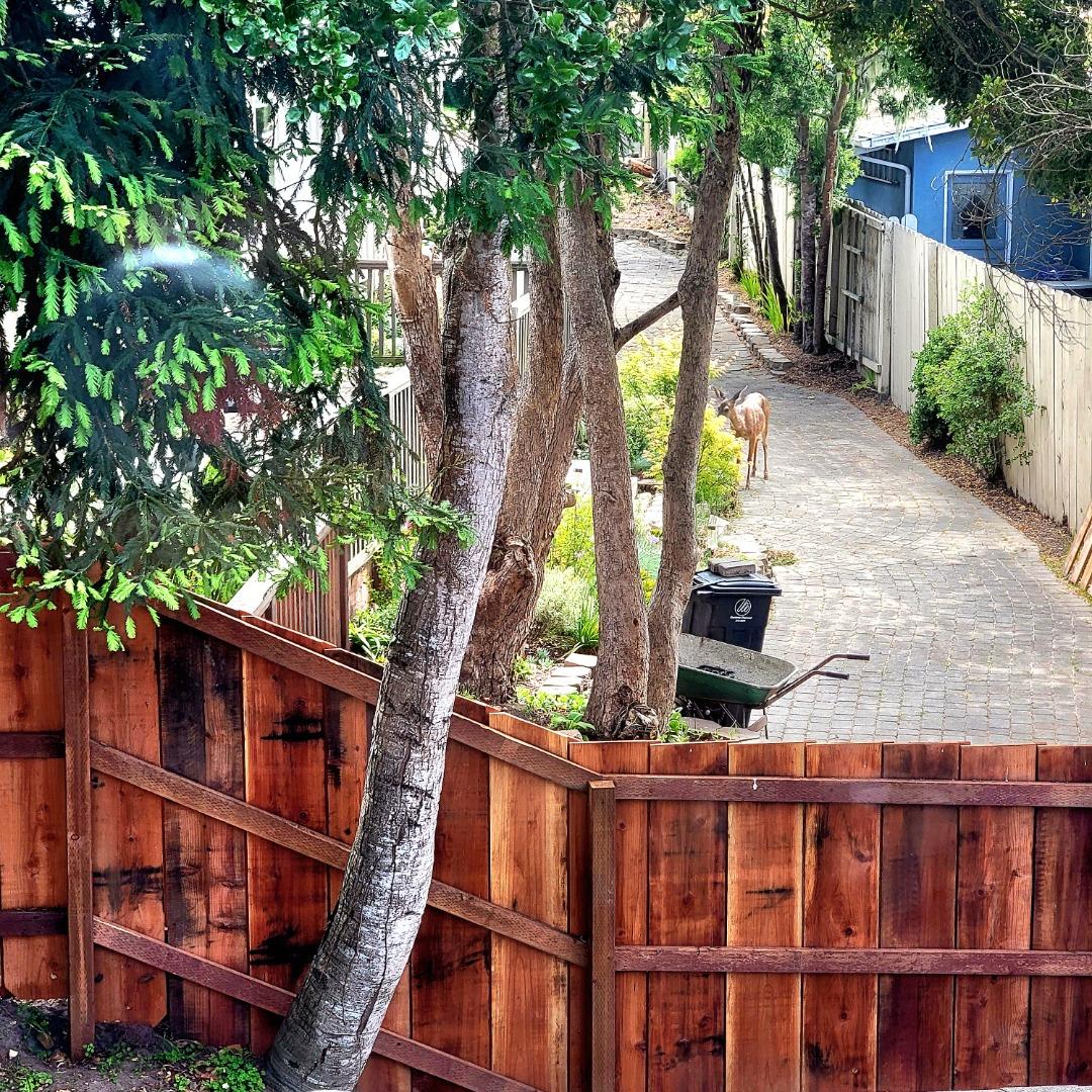 Detail Gallery Image 11 of 11 For 677 Taylor St, Monterey,  CA 93940 - 2 Beds | 2 Baths