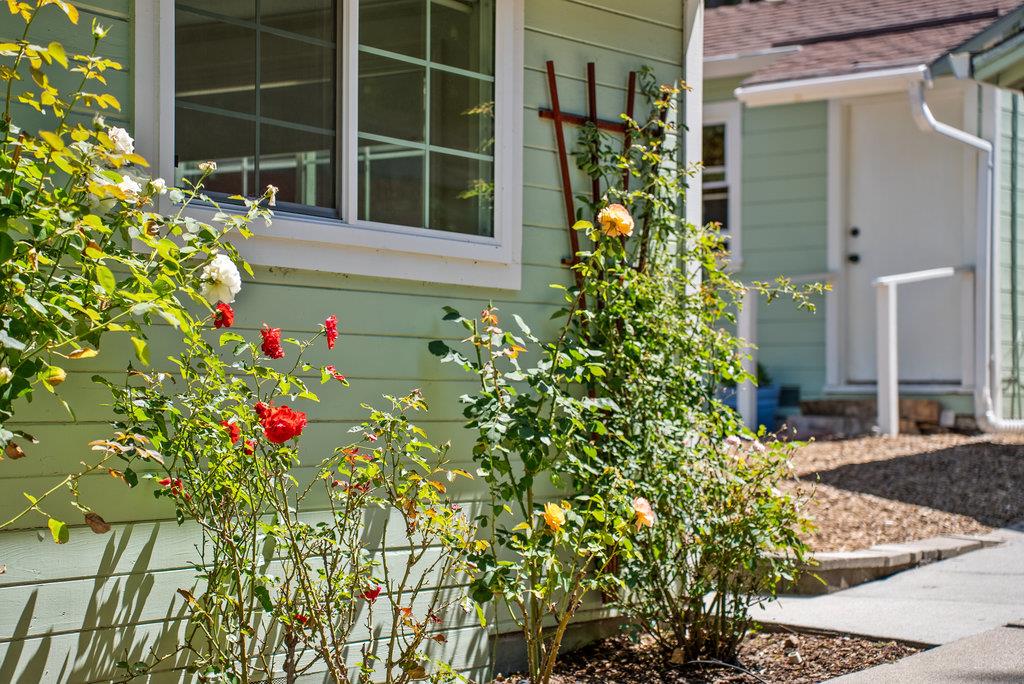 Detail Gallery Image 22 of 33 For 8494 Glen Arbor Rd, Ben Lomond,  CA 95005 - 2 Beds | 1 Baths