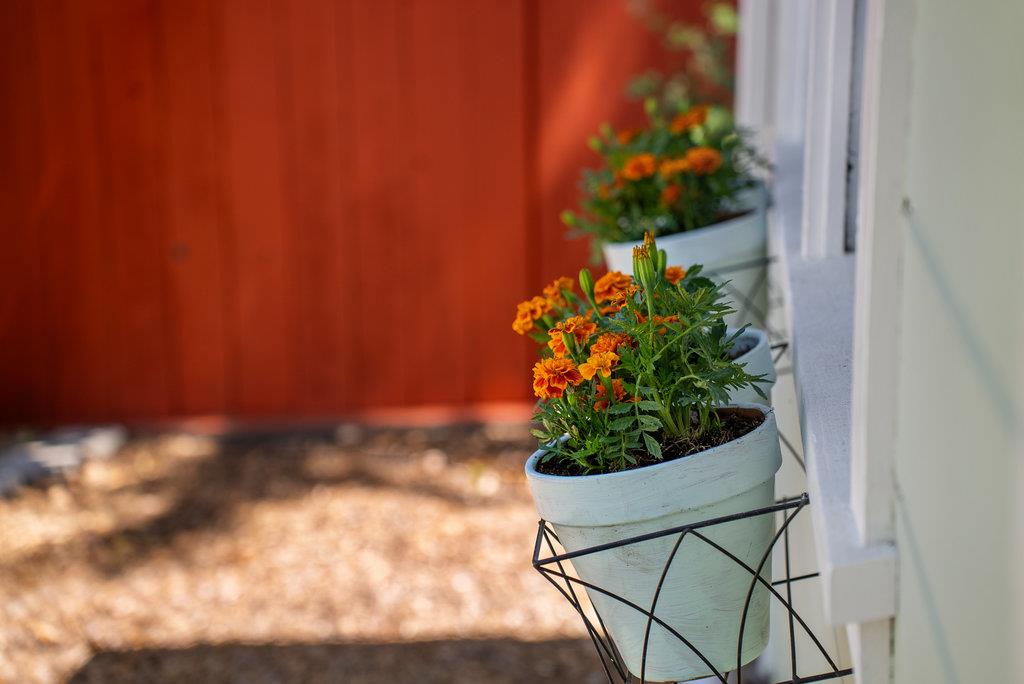 Detail Gallery Image 27 of 33 For 8494 Glen Arbor Rd, Ben Lomond,  CA 95005 - 2 Beds | 1 Baths