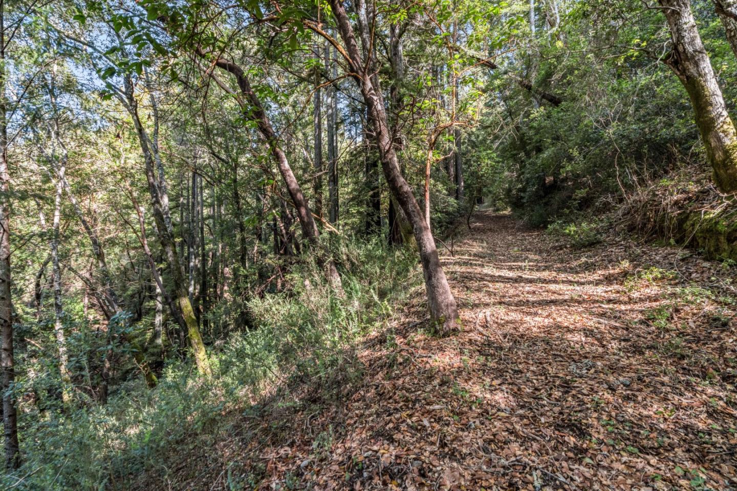 Detail Gallery Image 4 of 8 For Lot 1 Desear, Felton,  CA 95018 - – Beds | – Baths