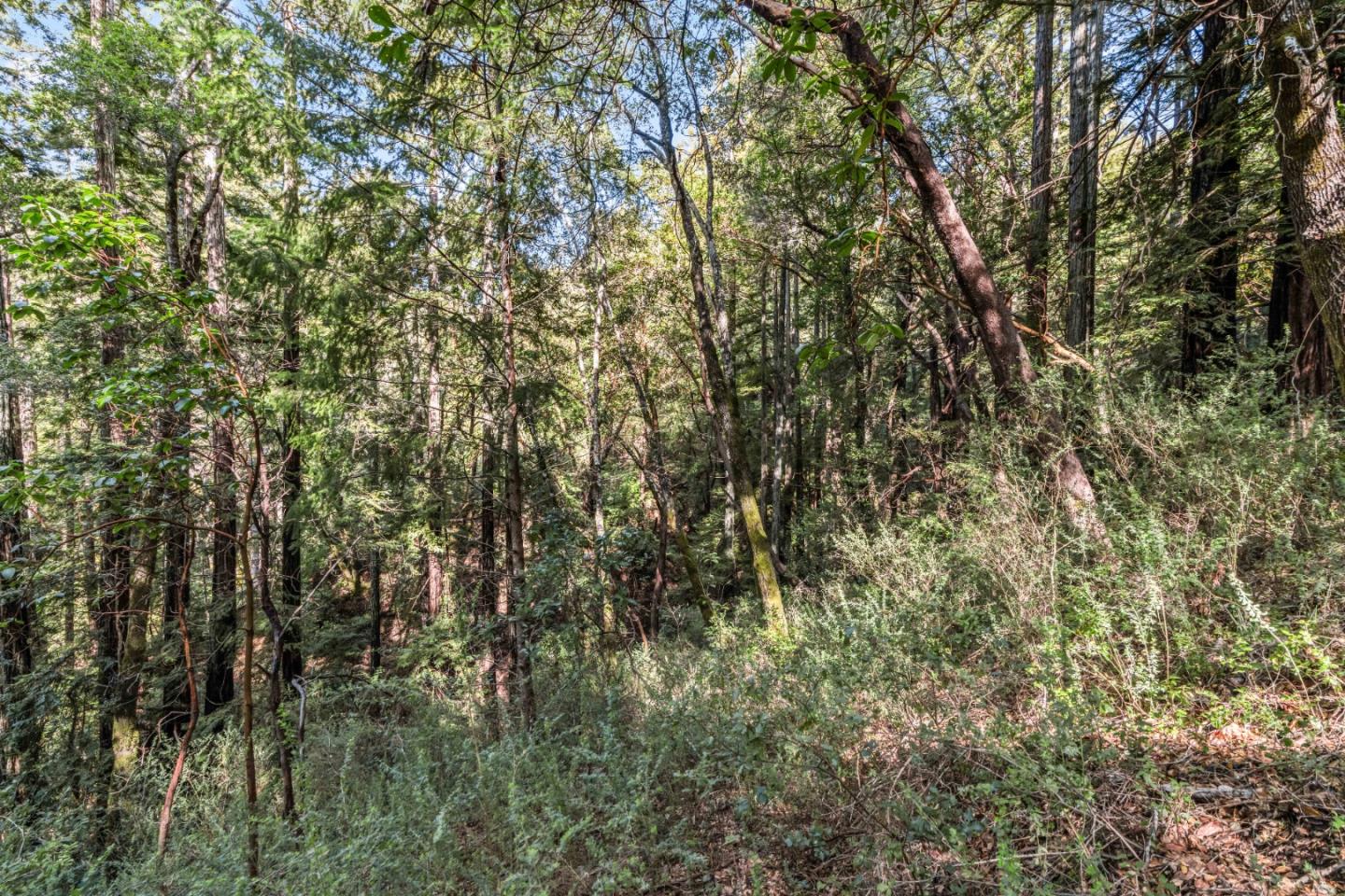 Detail Gallery Image 5 of 8 For Lot 1 Desear, Felton,  CA 95018 - – Beds | – Baths