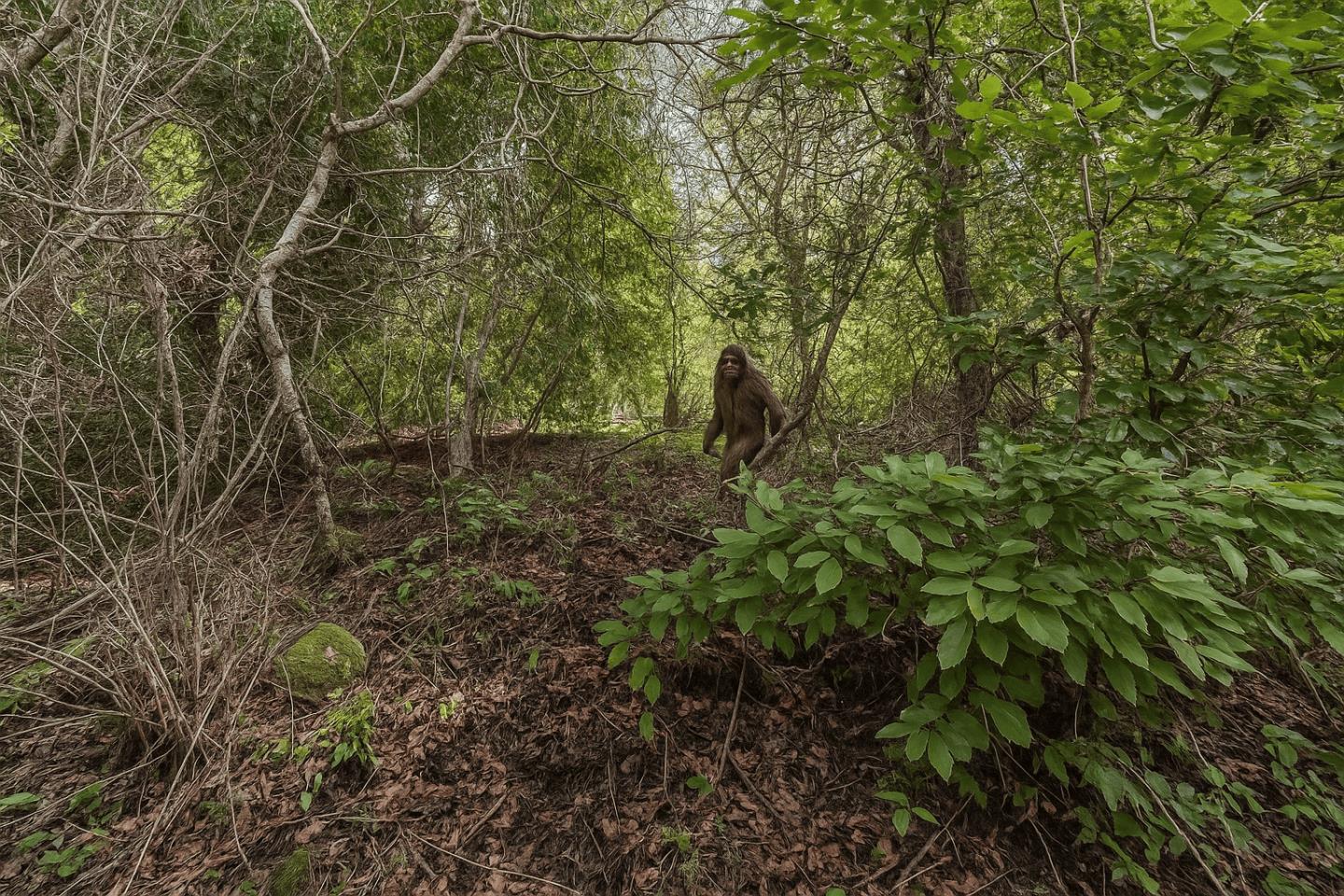 Lot 02 Lakeview Avenue, Felton, CA, 95018