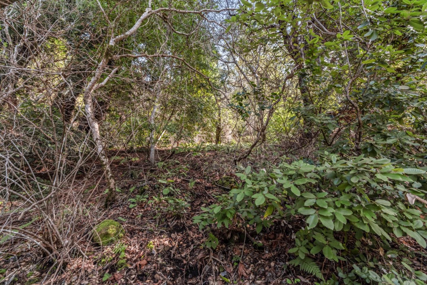 Lot 02 Lakeview Avenue, Felton, CA, 95018