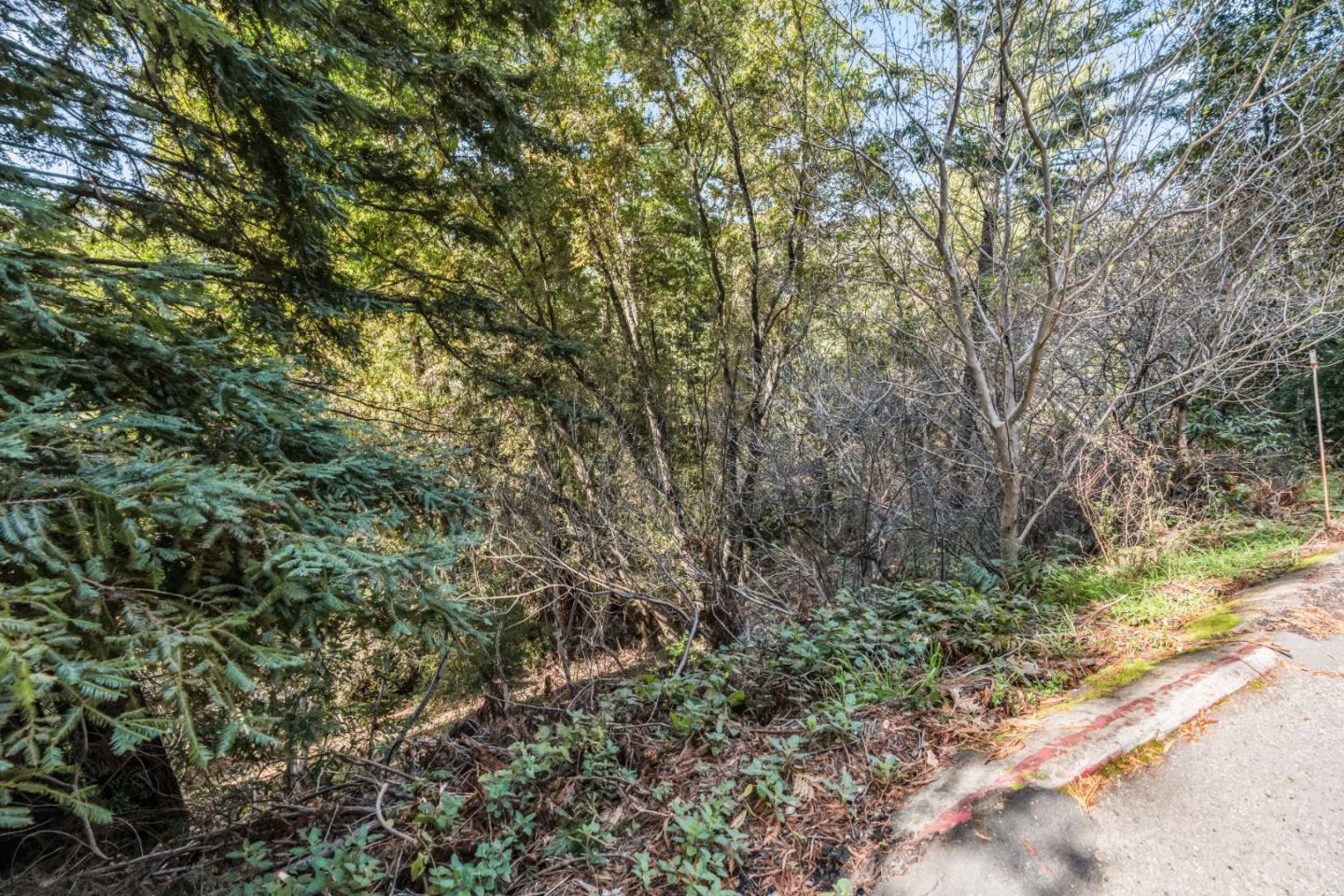 Detail Gallery Image 4 of 6 For Lot 26 Lakeview Ave, Felton,  CA 95018 - – Beds | – Baths