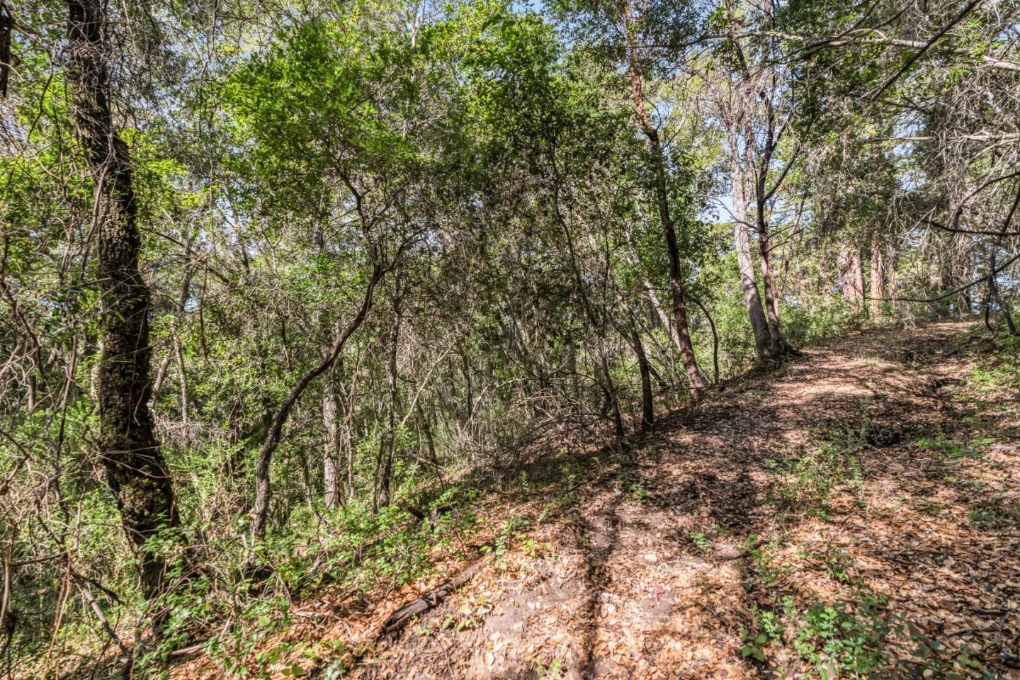 Lot 08 Madrone Avenue, Felton, CA, 95018