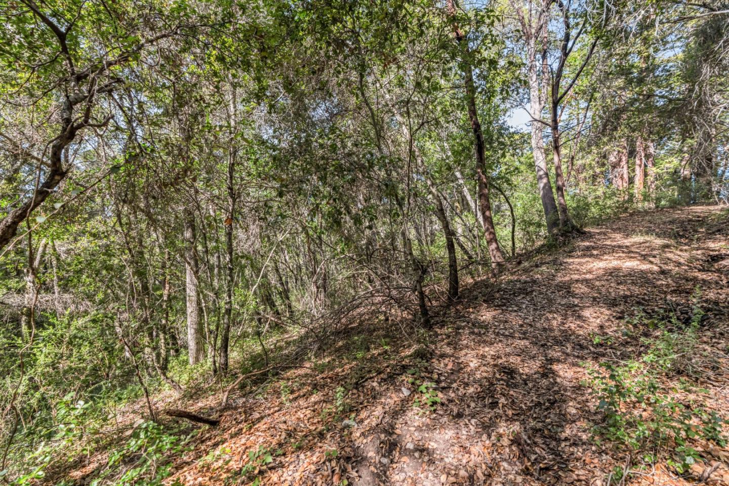 Lot 08 Madrone Avenue, Felton, CA, 95018