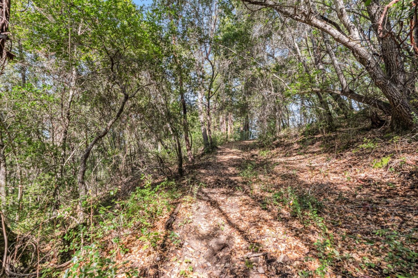 Lot 08 Madrone Avenue, Felton, CA, 95018