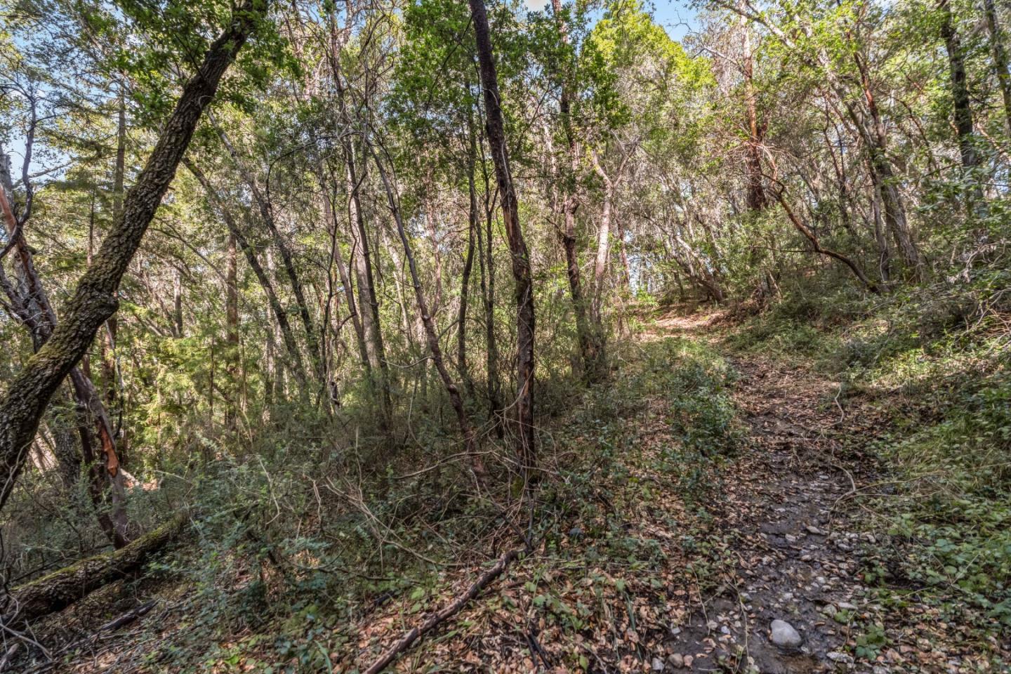 Lot 08 Madrone Avenue, Felton, CA, 95018