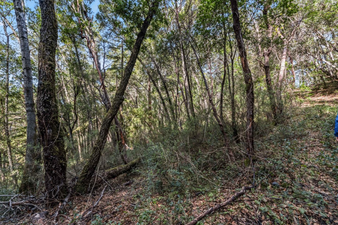 Lot 08 Madrone Avenue, Felton, CA, 95018