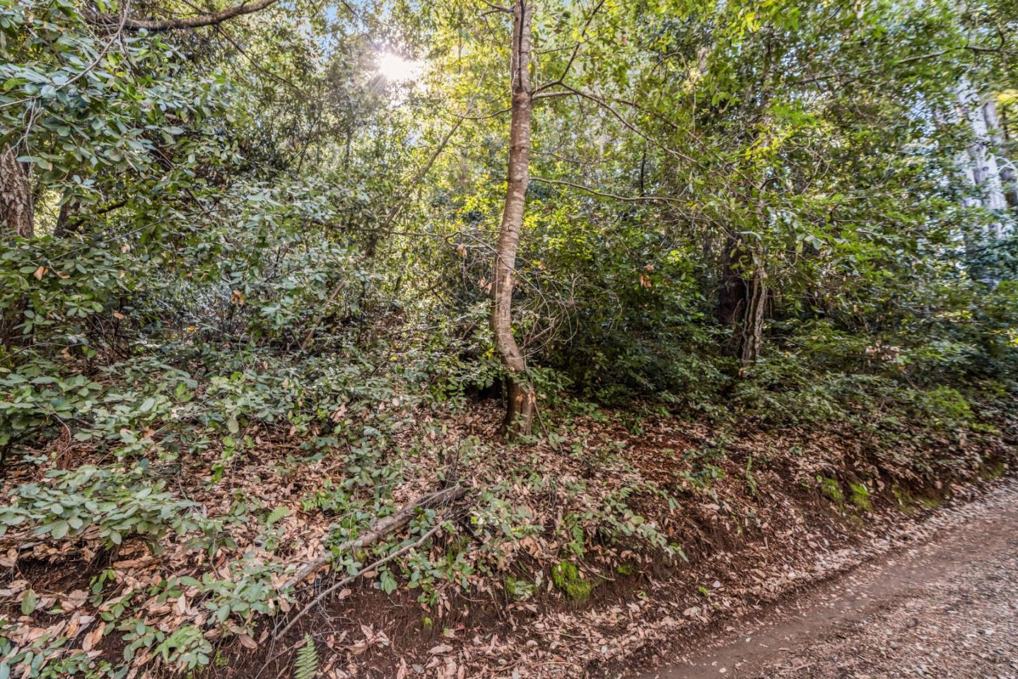 Detail Gallery Image 2 of 6 For Lot 12 Vera Ave, Felton,  CA 95018 - – Beds | – Baths
