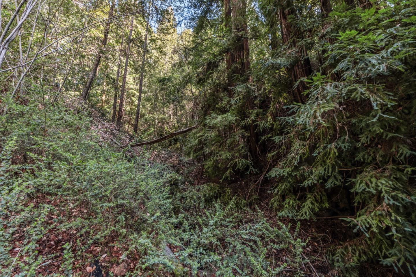 Lot 18 Antler Street, Felton, CA, 95018