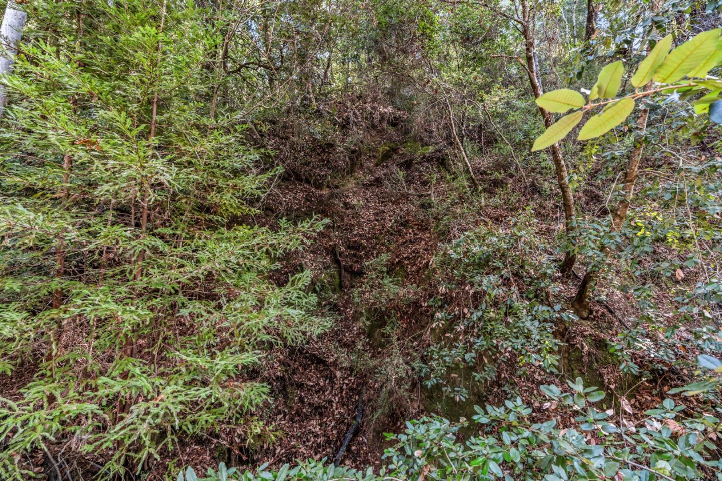 Lot 18 Antler Street, Felton, CA, 95018