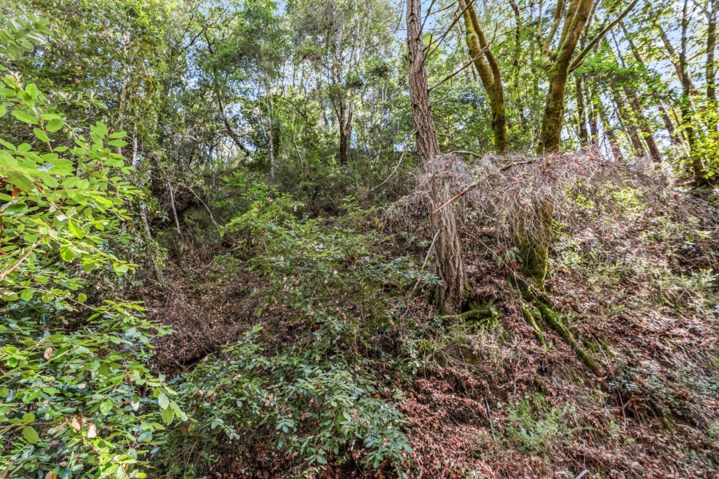 Lot 18 Antler Street, Felton, CA, 95018