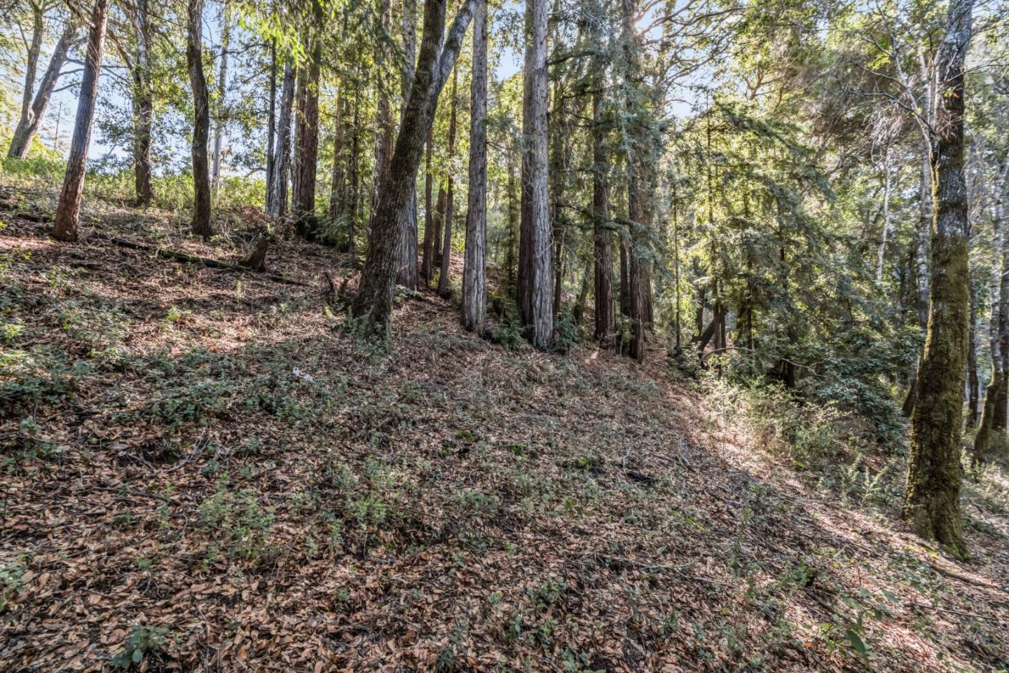 Detail Gallery Image 2 of 15 For Lot 11 Volver Ave, Felton,  CA 95018 - – Beds | – Baths