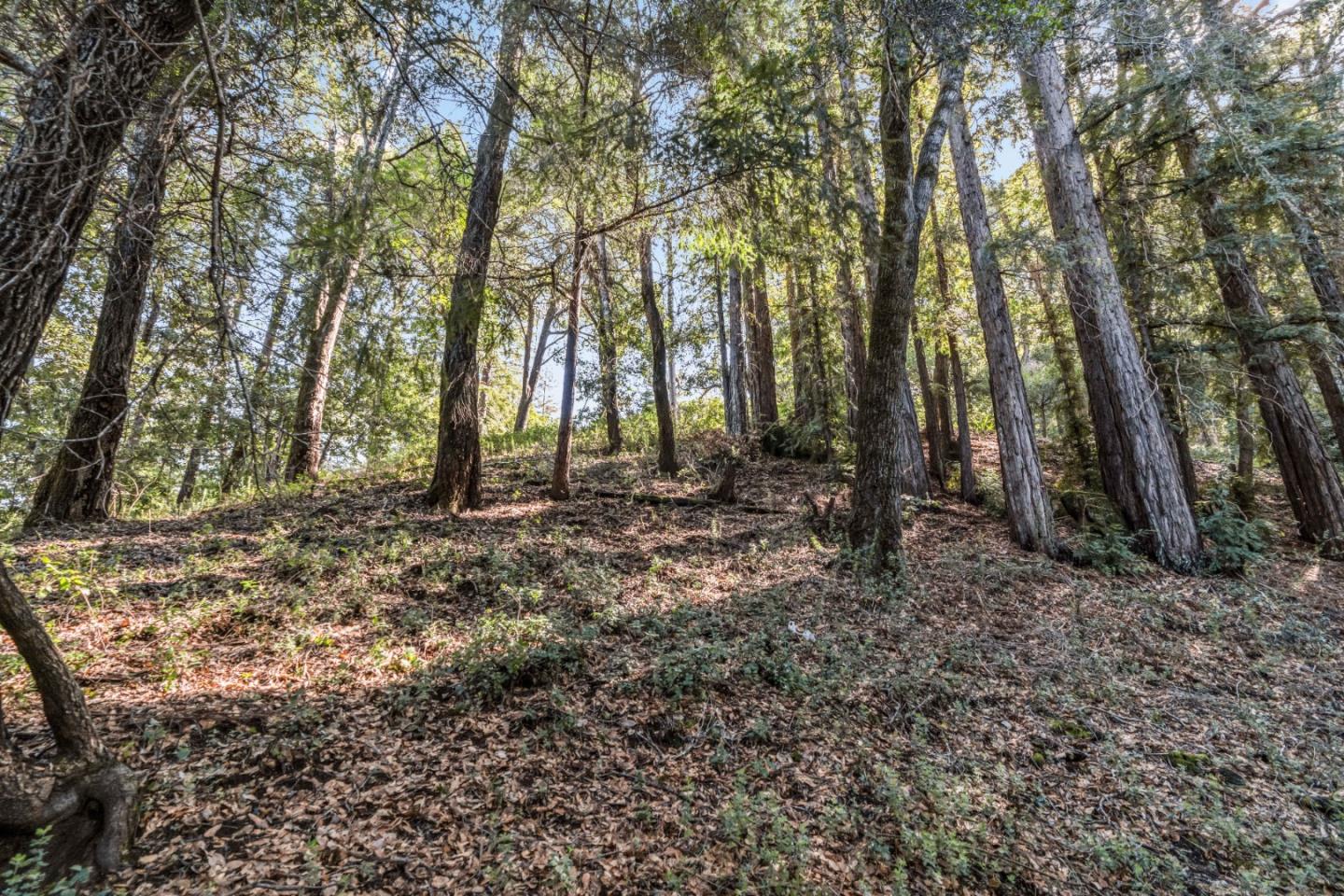 Detail Gallery Image 3 of 15 For Lot 11 Volver Ave, Felton,  CA 95018 - – Beds | – Baths