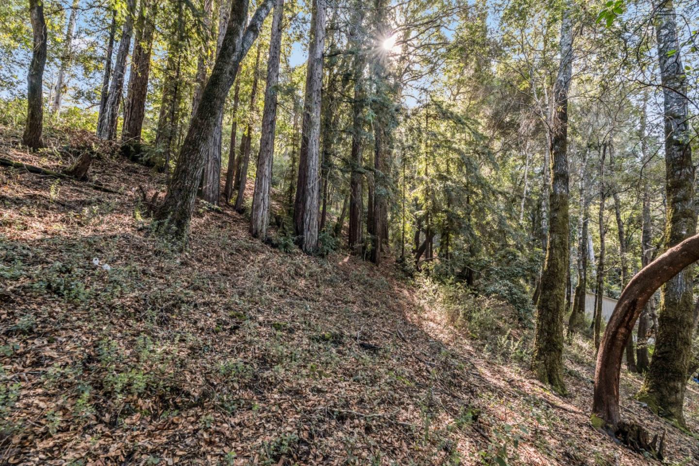 Detail Gallery Image 4 of 15 For Lot 11 Volver Ave, Felton,  CA 95018 - – Beds | – Baths