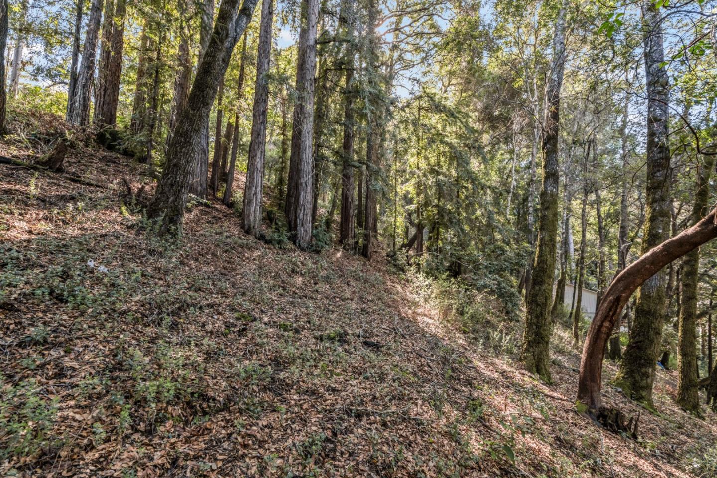 Detail Gallery Image 5 of 15 For Lot 11 Volver Ave, Felton,  CA 95018 - – Beds | – Baths