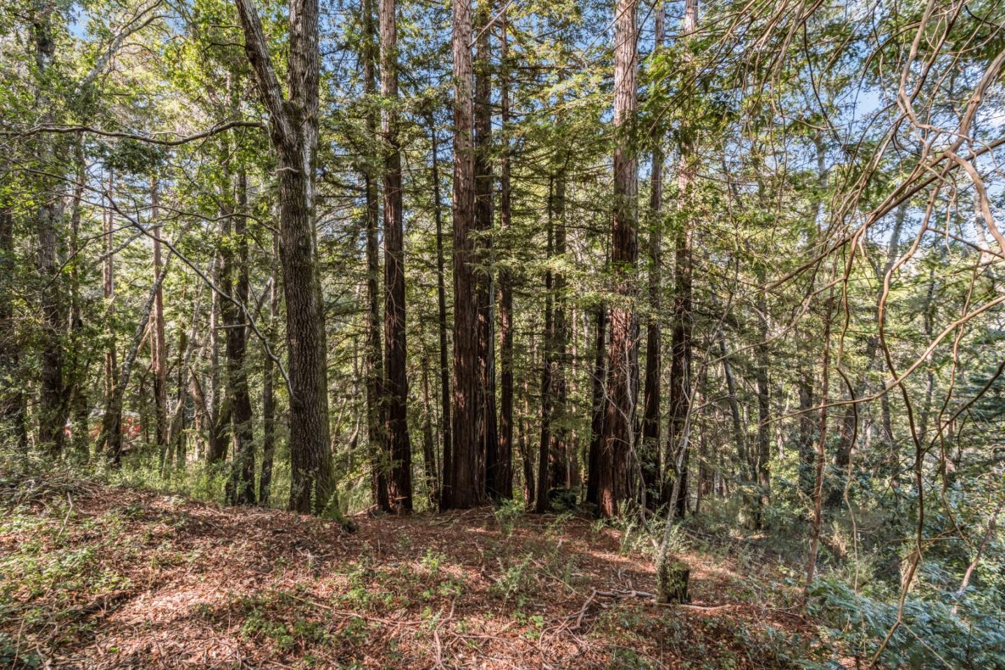 Detail Gallery Image 7 of 15 For Lot 11 Volver Ave, Felton,  CA 95018 - – Beds | – Baths
