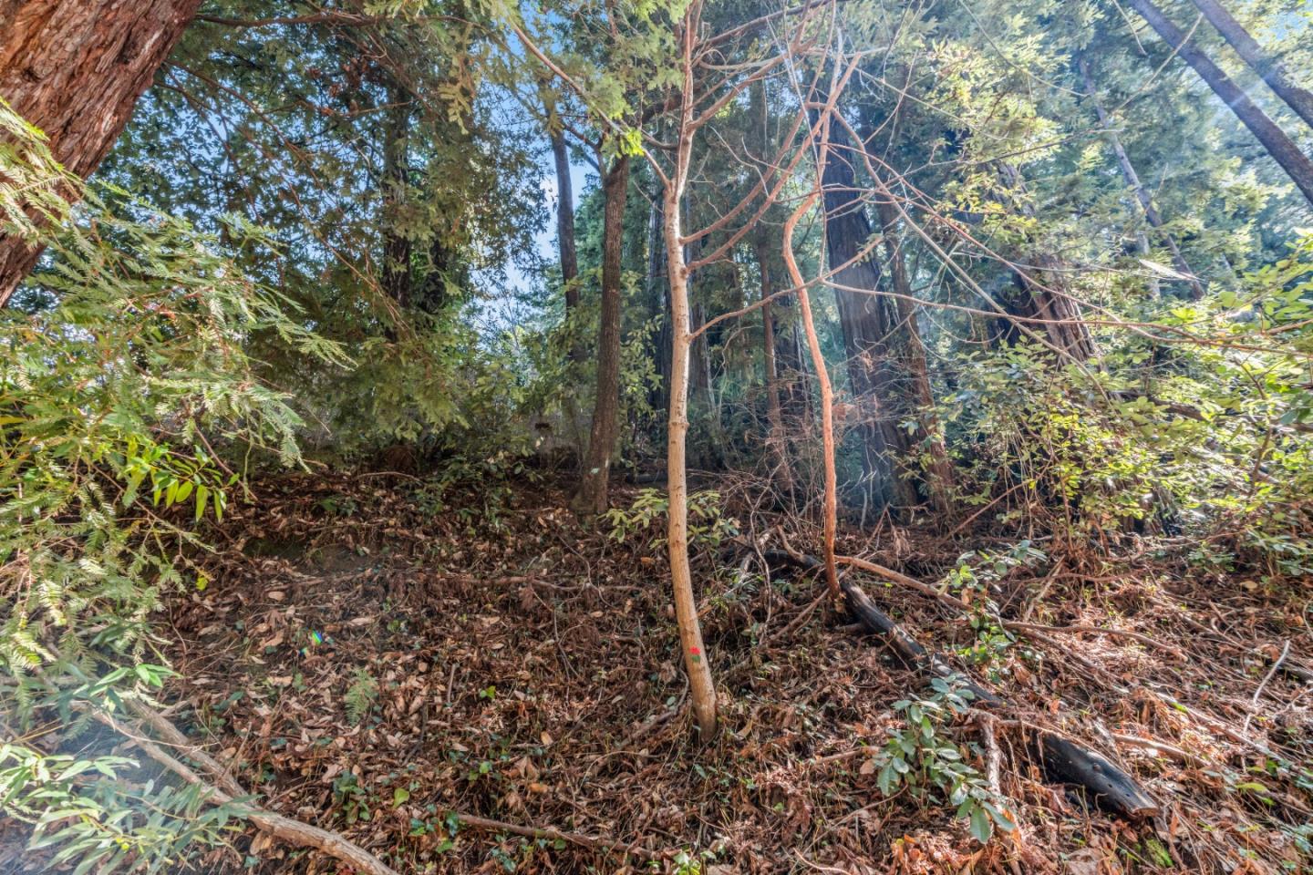 Lot 28 La Lena Street, Felton, CA, 95018