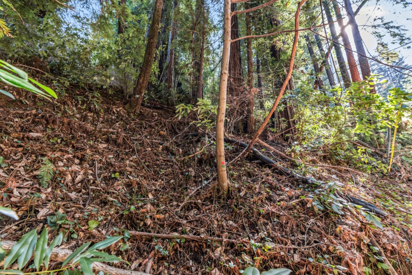 Detail Gallery Image 2 of 5 For Lot 28 La Lena St, Felton,  CA 95018 - – Beds | – Baths