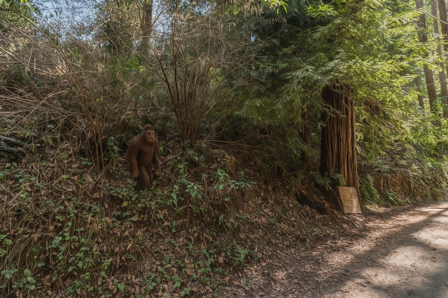 Lot 28 La Lena Street, Felton, CA, 95018