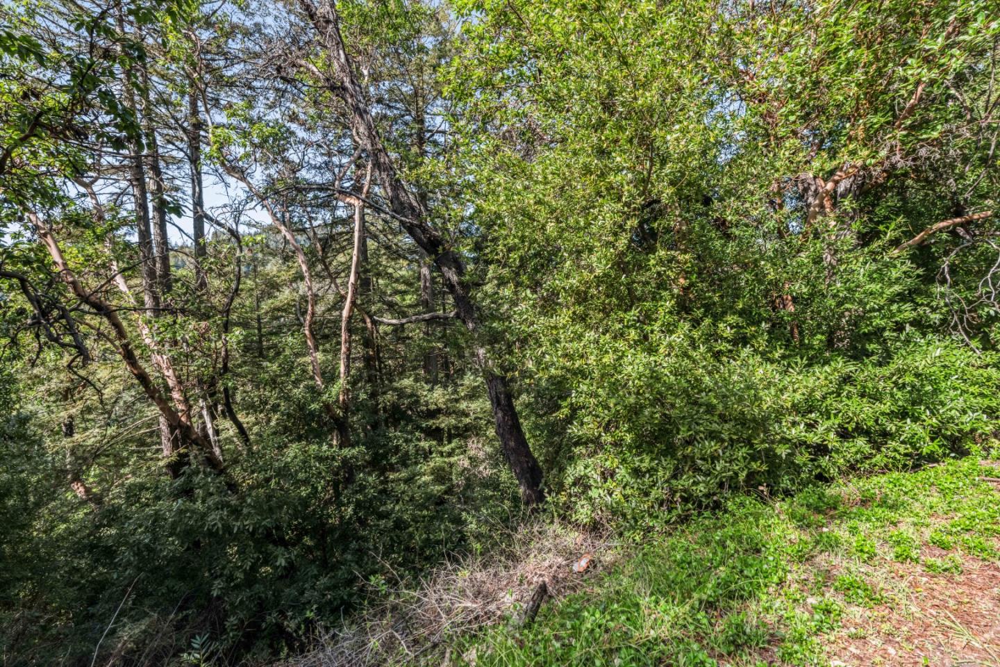 Lot 08 Lake Blvd and Lot 38 Lakeview, Felton, CA, 95018