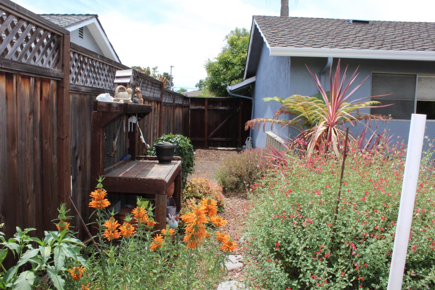 Detail Gallery Image 21 of 27 For 1441 Willowmont Ave, San Jose,  CA 95118 - 3 Beds | 2 Baths