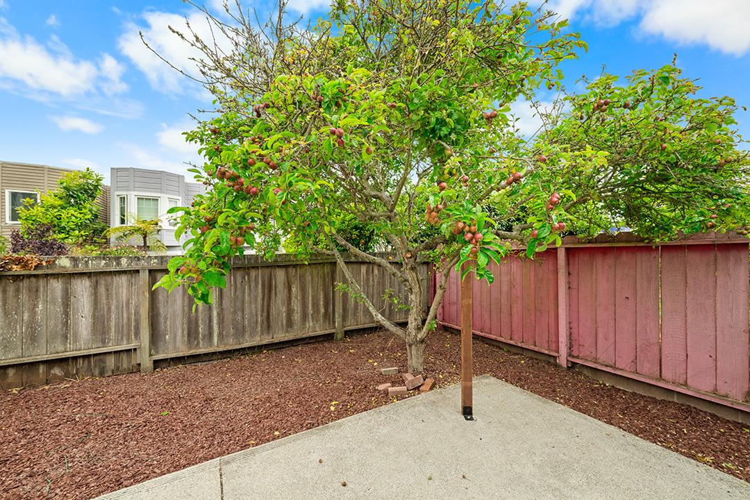 Detail Gallery Image 31 of 36 For 454 Ellington Ave, San Francisco,  CA 94112 - 2 Beds | 1/2 Baths