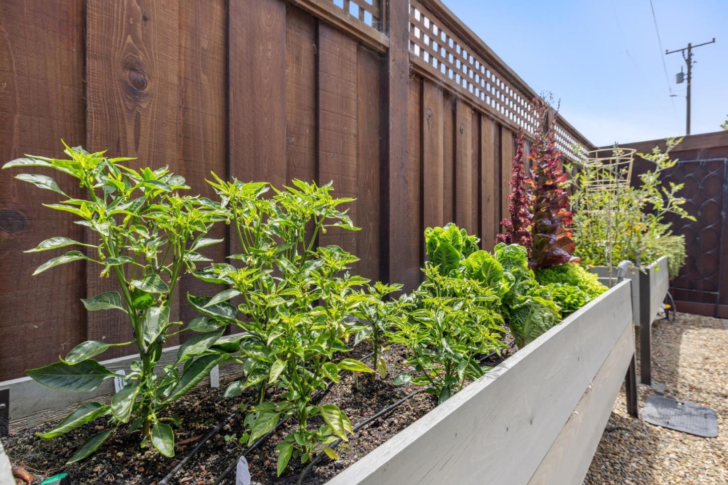 Detail Gallery Image 23 of 23 For 843 First Ave, Half Moon Bay,  CA 94019 - 3 Beds | 2 Baths