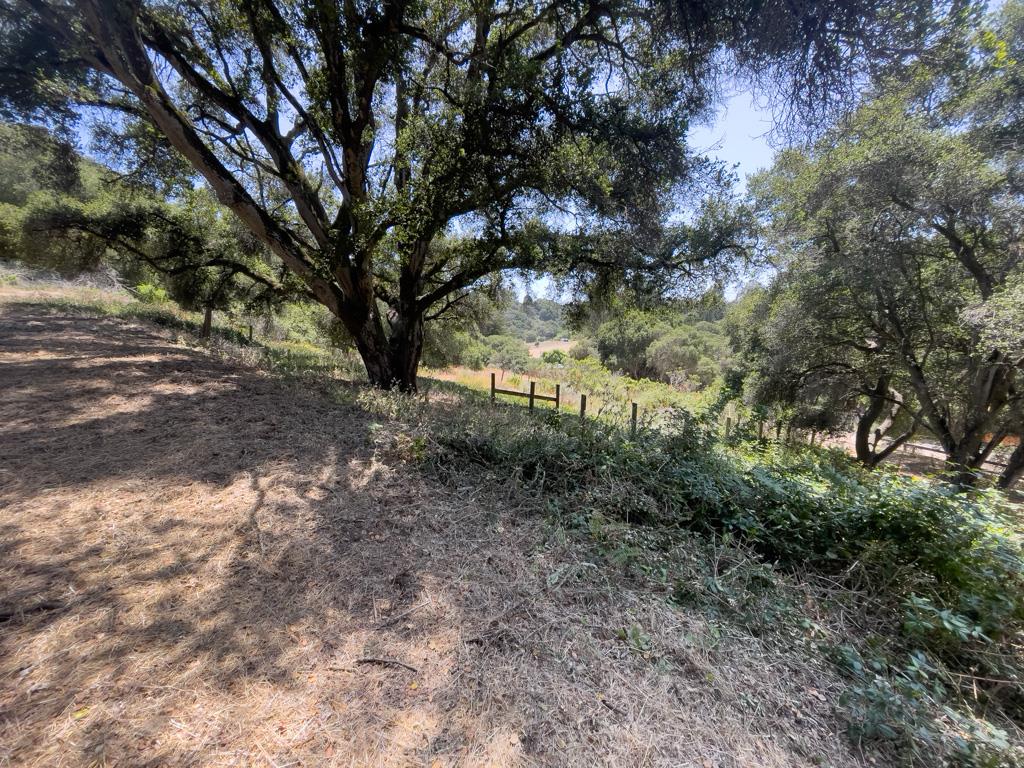 Detail Gallery Image 10 of 11 For 58 Desmond Rd, Salinas,  CA 93907 - – Beds | – Baths