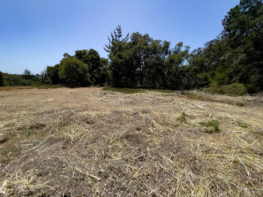 Detail Gallery Image 7 of 11 For 58 Desmond Rd, Salinas,  CA 93907 - – Beds | – Baths