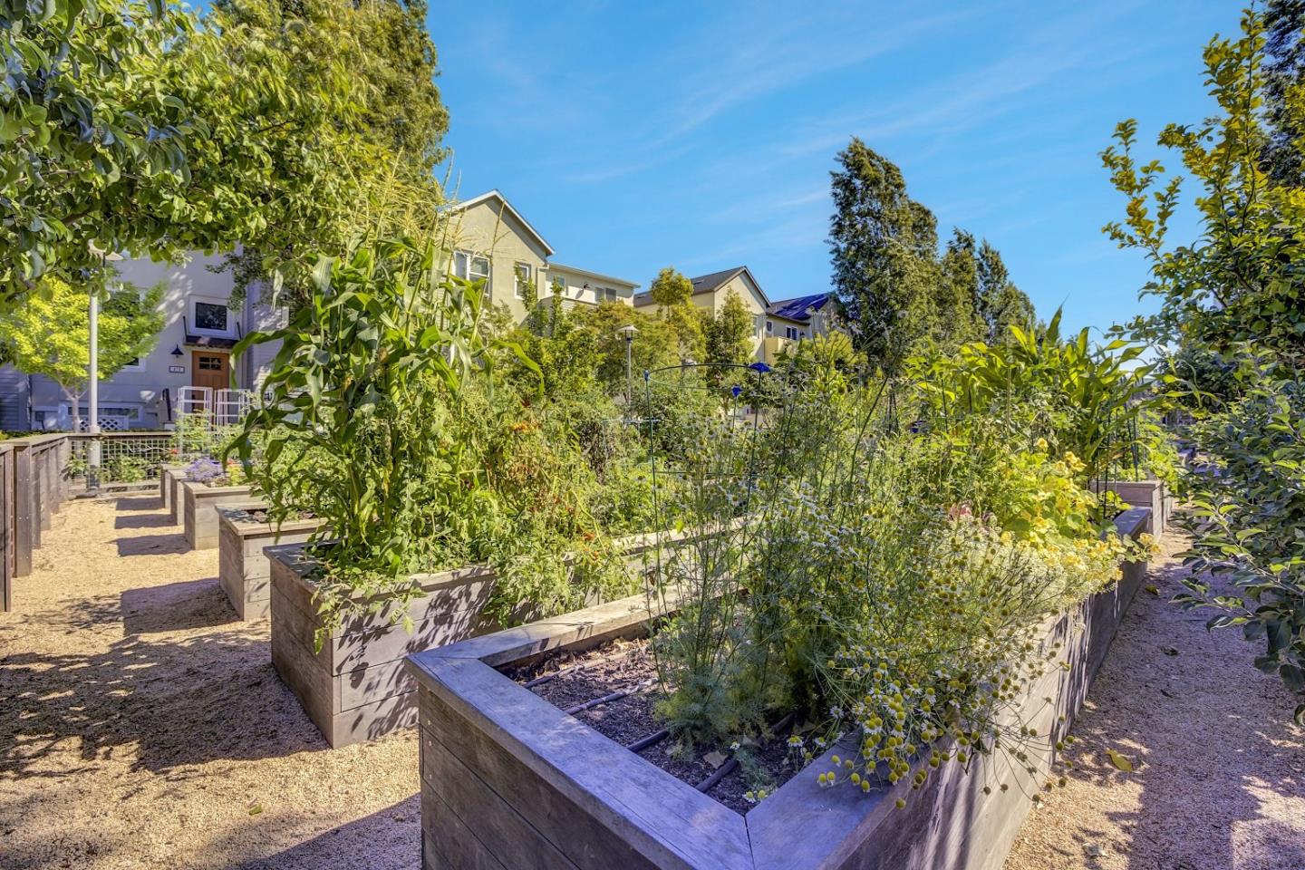 Detail Gallery Image 52 of 57 For 3044 Mawing Rd, San Mateo,  CA 94403 - 4 Beds | 4 Baths