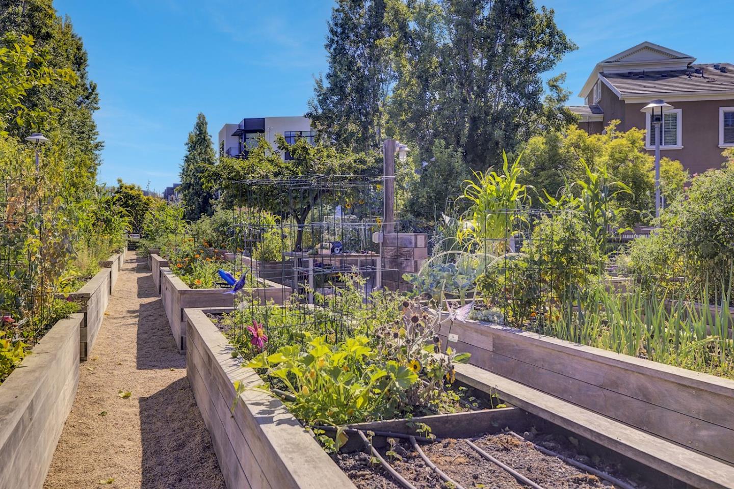 Detail Gallery Image 53 of 57 For 3044 Mawing Rd, San Mateo,  CA 94403 - 4 Beds | 4 Baths