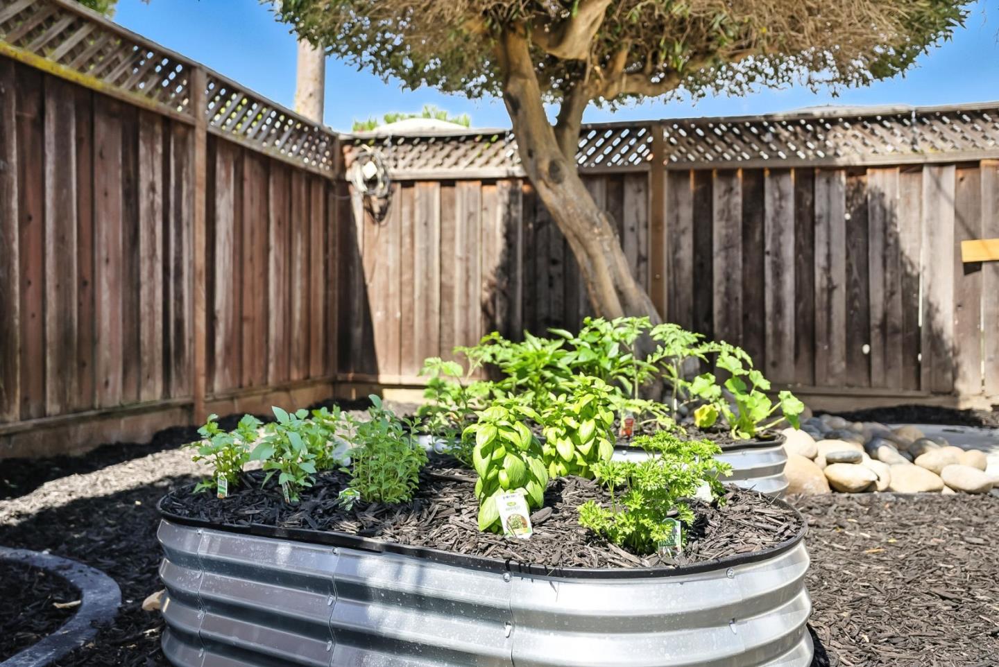 Detail Gallery Image 37 of 46 For 3489 Elaine Dr, San Jose,  CA 95124 - 4 Beds | 3 Baths