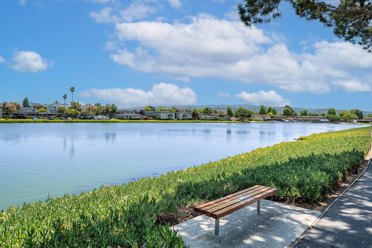 Detail Gallery Image 33 of 39 For 2241 Vista Del Mar, San Mateo,  CA 94404 - 2 Beds | 2 Baths