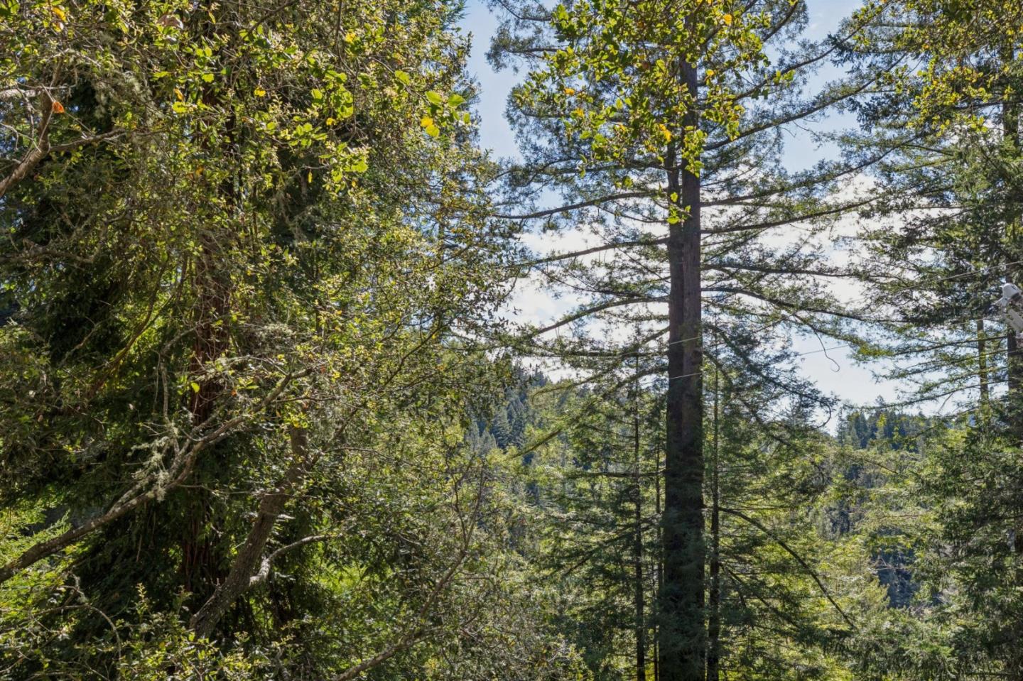 Detail Gallery Image 70 of 78 For 23584 Sky View Ter, Los Gatos,  CA 95033 - 4 Beds | 2/1 Baths