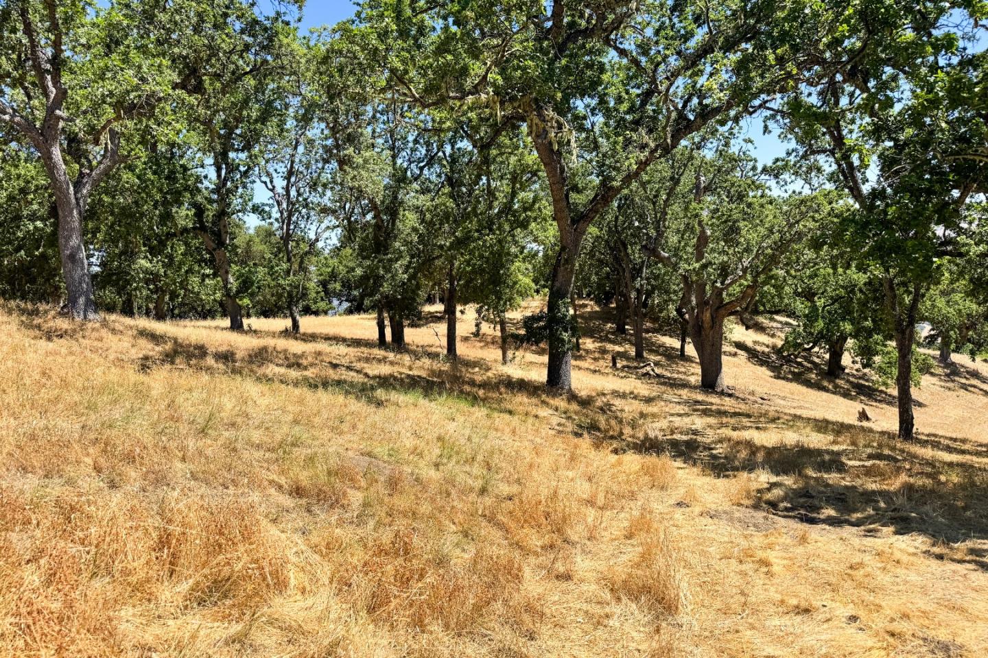 Detail Gallery Image 20 of 65 For 28 Long Ridge Trl, Carmel,  CA 93923 - – Beds | – Baths