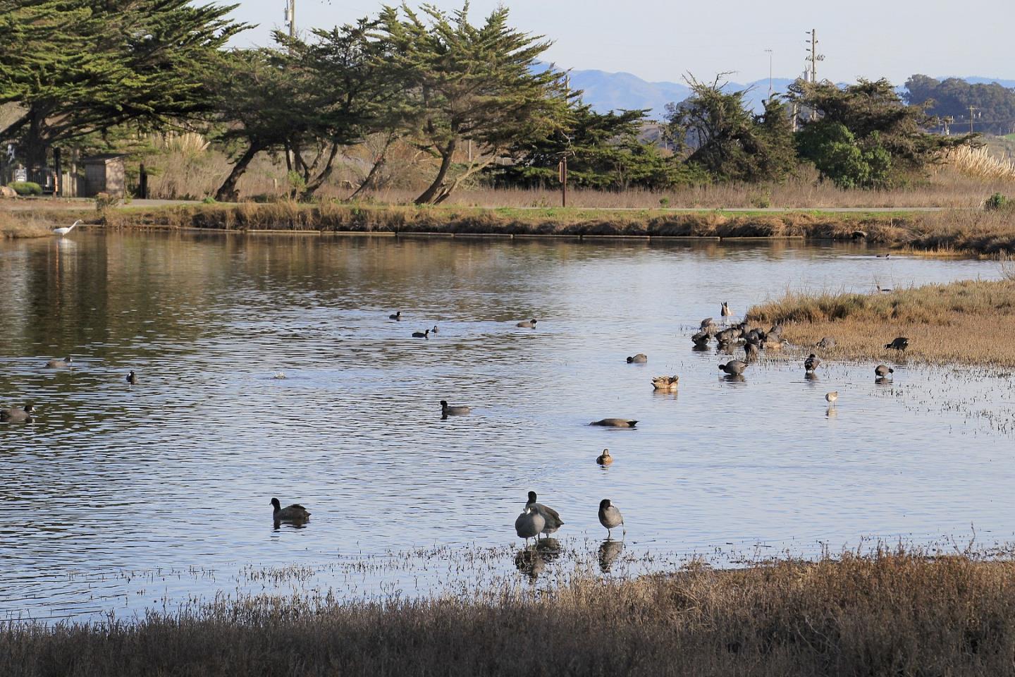 Detail Gallery Image 23 of 24 For 101 Shell Dr #132,  Watsonville,  CA 95076 - 1 Beds | 1 Baths