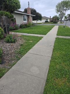 Detail Gallery Image 3 of 32 For 807/809 University Ave, Salinas,  CA 93901 - – Beds | – Baths